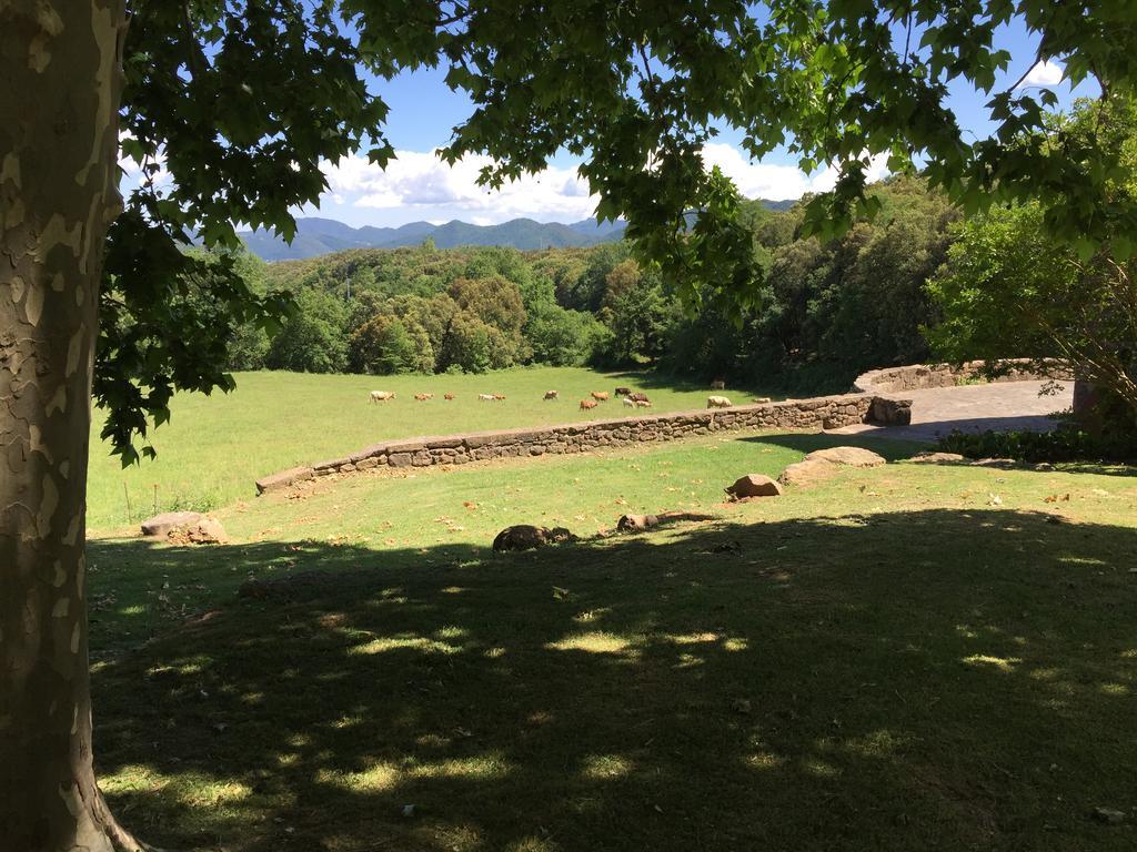 Casa Rural El Callis 라 발 데 비아니아 외부 사진